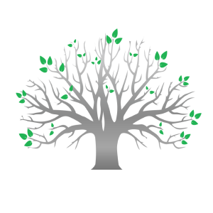 IronTree Builders Inc.